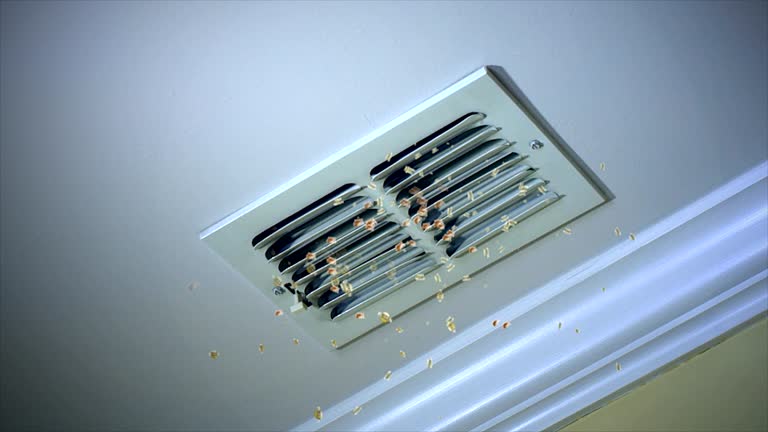 Best Ventilation Cleaning Services  in Ranlo, NC
